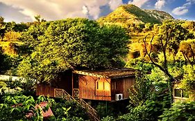 The Tree House Resort